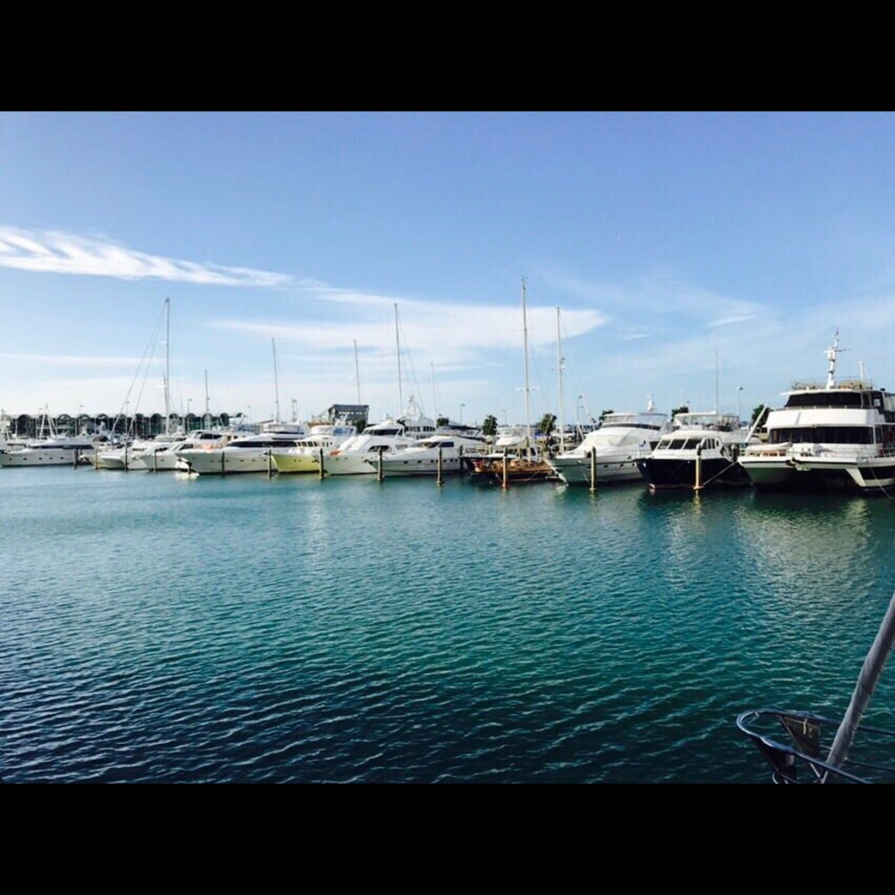 Meet your Posher, Judy